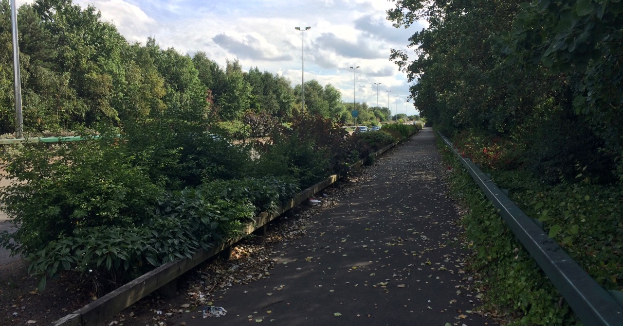 Footpath separated from the A47 by vegetation.