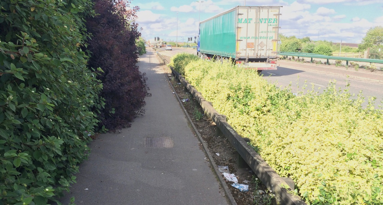 Vegetation growing over the footpath.