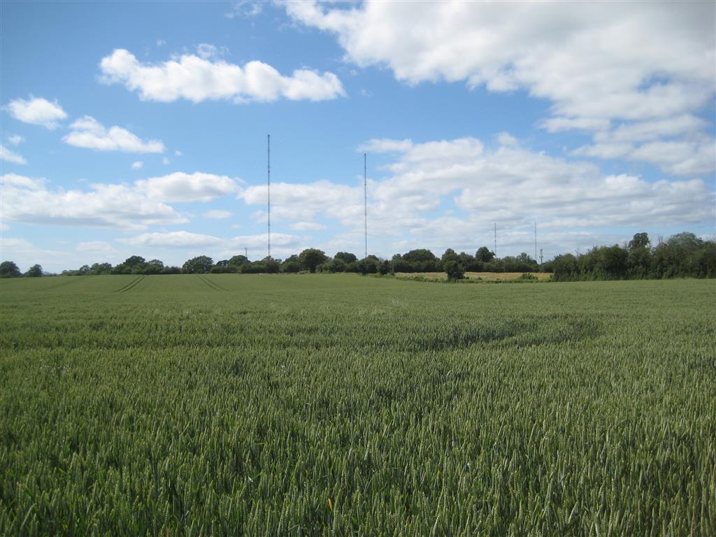 Droitwich Transmitter from Stoke Prior