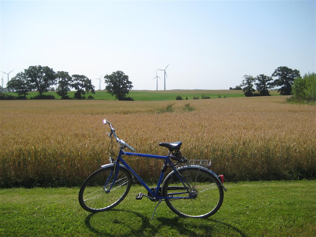Cycling in Schleswig-Holstein