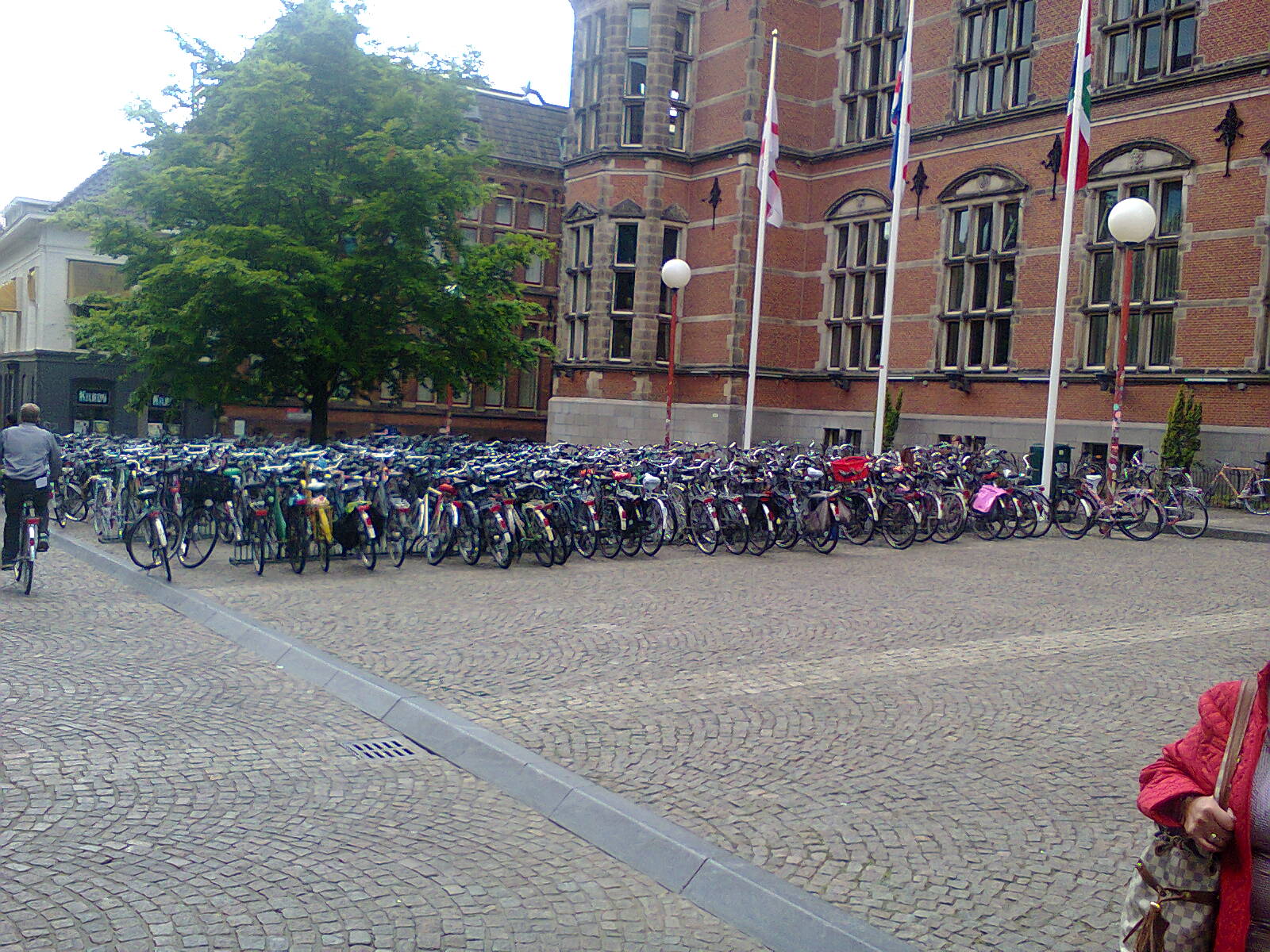 Uncovered cycle parking in Assen