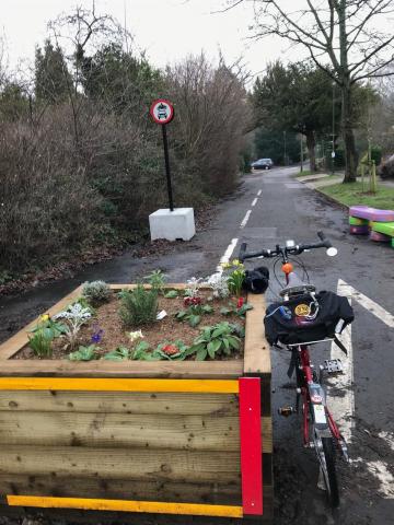 Oak Tree Lane LTN measure