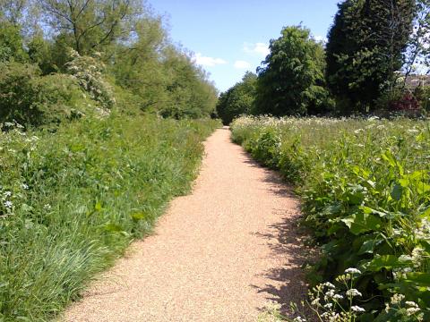 Bournbrook Walkway