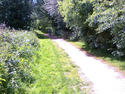 Woodgate Valley Country Park