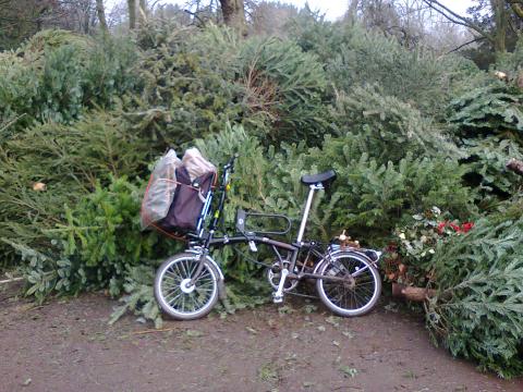 treecycling on a Brompton