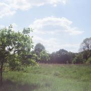 An informal track through Valley Parkway between Northfield and Bournville