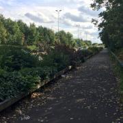 Footpath separated from the A47 by vegetation.