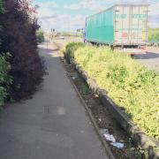 Vegetation growing over the footpath.