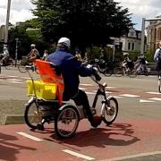 Electrically assisted trike