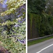 diptych showing either side of a sound baffle wall next to a motorway near Hamburg