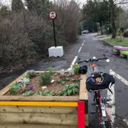 Oak Tree Lane LTN measure