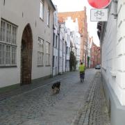 Contraflow cycling in Lübeck