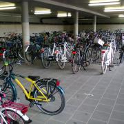 School cycle parking
