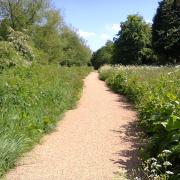 Bournbrook Walkway