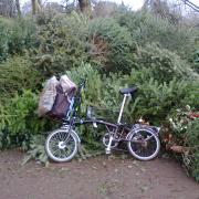 treecycling on a Brompton