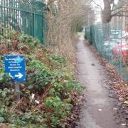 Disabled path at the QE